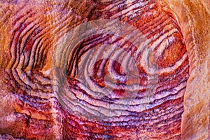 Red Rock Circles Abstract Near Royal Tombs Petra Jordan