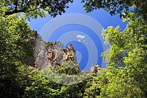 Red Rock Cliffs above the Canopy of the Blavet Gor