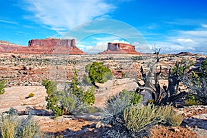 Red rock and desert landscape, Southwest USA