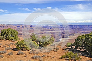 Red rock and desert landscape, Southwest USA