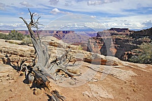 Red rock and desert landscape, Southwest USA