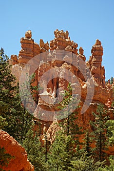 Red rock formation in bryce canyon park, utah