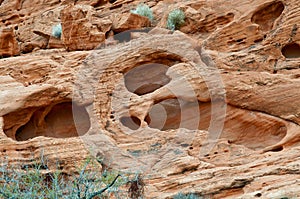 Red rock formation on canyon wall