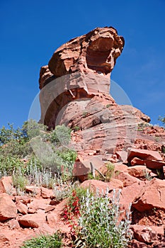 The red rocks of Fay Canyon in Arizona photo