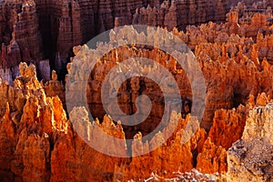 Red rock formations, so called hoodoos at sunset at Bryce Canyon National Park