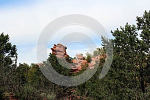 Red rock formations rising from behind a row of pine trees on the Siamese Twins Trail in Colorado