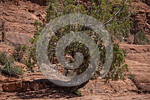 Red rock formations and vortexed on a spring day in Sedona Arizona