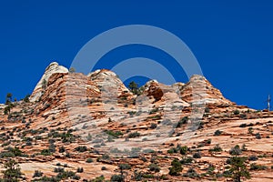 Red Rock Formations in Zion