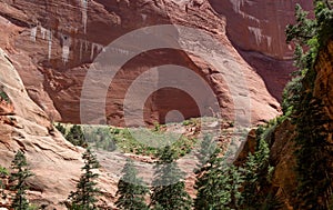 Red Rock Kolob Canyon Zion National Park 13