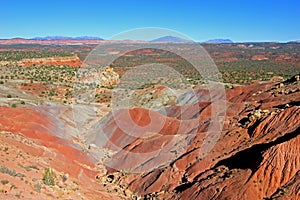 Red rock landscape along Burr Trail and Capitol Reef National Park, USA photo