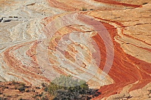 Red Rock Landscape, Southwest USA