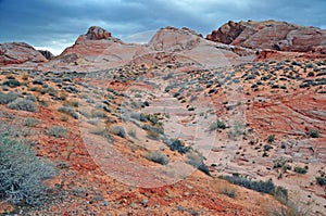 Red Rock Landscape, Southwest USA