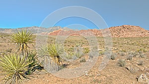 Red Rock Overlook, Red Rock Canyon Conservation Area, NV