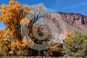 Red Rock Sandstone Formation in a Canyon