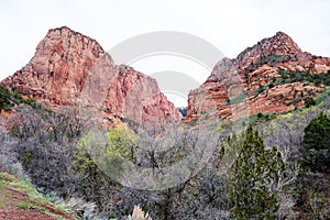 Red rock scenery at Kolob Canyons in Zion National Park