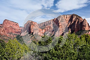 Red rock scenery at Kolob Canyons in Zion National Park