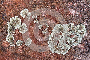 Red rock stone background texture pattern