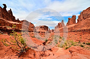 Red rock walls of Park Avenue, Arches National Park, Utah, USA