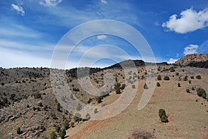 Red Rocks