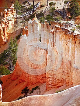 Red Rocks in Bryce Canyon National Park