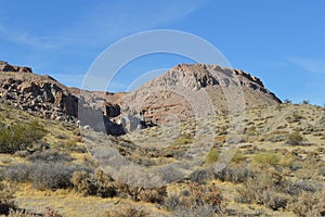 Red Rocks Canyon Brush California