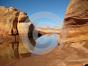 Red rocks and canyon in desert