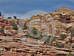 Red Rocks of Canyon Rims