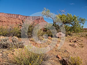 Red Rocks of Canyon Rims Recreation Area