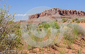 Red Rocks of Canyon Rims Recreation Area