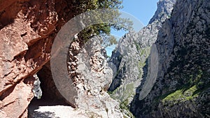 Red rocks at Cares Gorge trail in Picos de Europa NP in Spain photo
