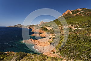 Red Rocks of Esterel Massif and Plants. French Riviera, Provence