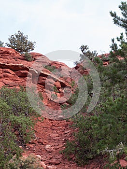 Red Rocks near Sedona Arizona