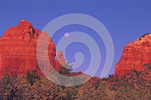 Red Rocks, Sedona Arizona