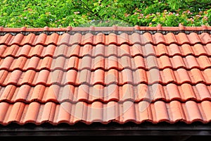 Red roof with img