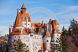 Red roofs of Bran Castle (Dracula castle)