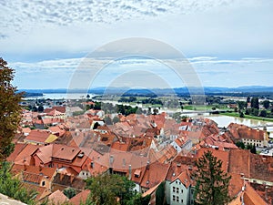 red roofs of houses and Drava river. Town Ptuj. Slovenia