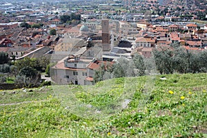 The red roofs of the inhabited houses, the church and the bell tower of the pietrasanta cathedral seen from the green of a hill at