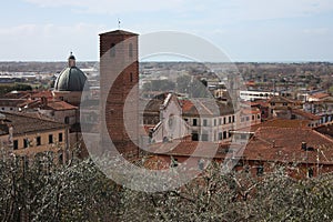 The red roofs of the inhabited houses, the church and the bell tower of the pietrasanta cathedral seen from the green of a hill at