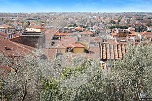 The red roofs of the inhabited houses, the church and the bell tower of the pietrasanta cathedral seen from the green of a hill at