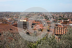 The red roofs of the inhabited houses, the church and the bell tower of the pietrasanta cathedral seen from the green of a hill at