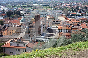 The red roofs of the inhabited houses, the church and the bell tower of the pietrasanta cathedral seen from the green of a hill at