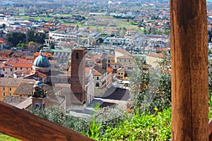 The red roofs of the inhabited houses, the church and the bell tower of the pietrasanta cathedral seen from the green of a hill at