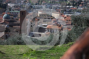 The red roofs of the inhabited houses, the church and the bell tower of the pietrasanta cathedral seen from the green of a hill at