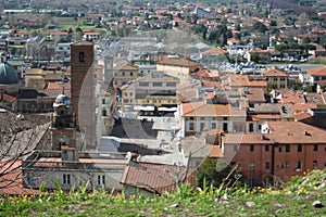 The red roofs of the inhabited houses, the church and the bell tower of the pietrasanta cathedral seen from the green of a hill at