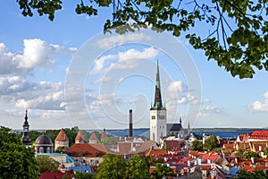 The red roofs of old town and st. Olaf church in Tallinn