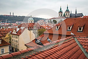 Red roofs with pigeons in Prague photo