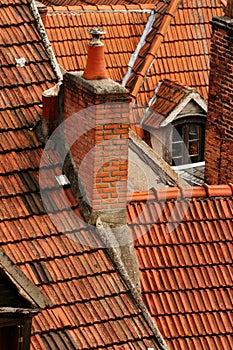 Red rooftops