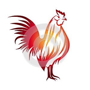 Red Rooster Illustration