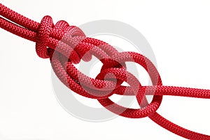 Red rope knot on a white background