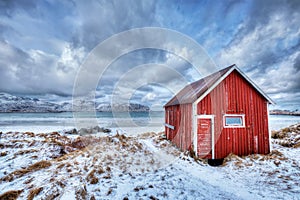 Red rorbu house shed on beach of fjord, Norway